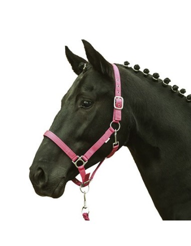 Licol cheval fluo HKM jaune orange vert bleu shetland au trait Bleu roi