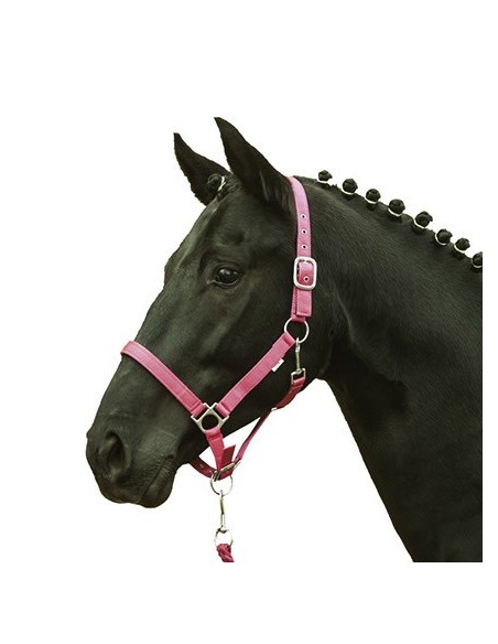 Licol cheval fluo HKM jaune orange vert bleu shetland au trait Rose
