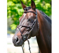 Bridon cuir et vernis Tattini Eco Friendly