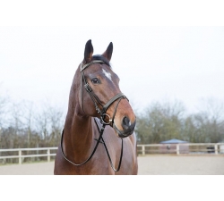 Bridon Venice Horze