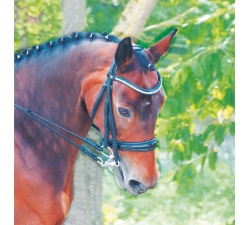 Bride Cézanne TDET Noir