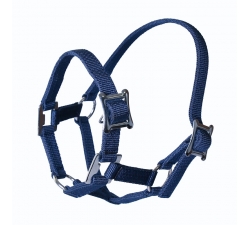 Licol mini poney avec fermeture coulissante Navy