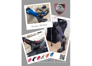 Lacets pour Sneakers Pit Bull Tattini