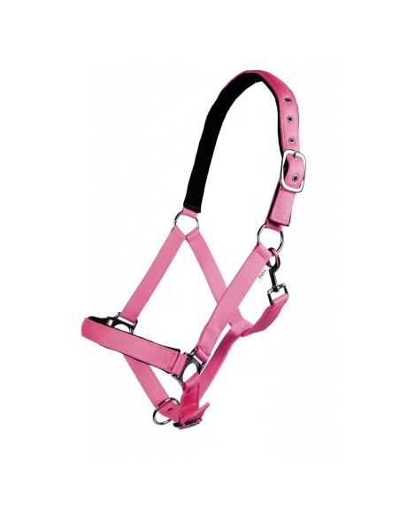 Licol cheval fluo HKM jaune orange vert bleu shetland au trait Rose clair