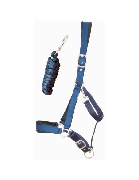 TdeT Licol satiné doublé Marine