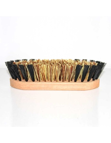 Brosse dure THQ GM Made in France