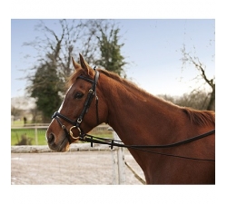 enrenement-long-educatif-elastique-et-reglable