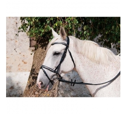 Bridon PISSARRO TDET