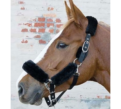 Licol “Wool” avec mouton synthetique Lami-Cell Noir