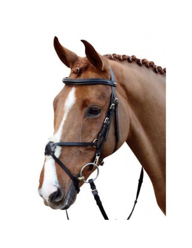 Bridon renforcé Mexican Style avec mouton HKM