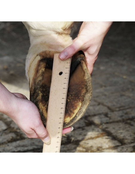 Chaussure de dépannage - HKM