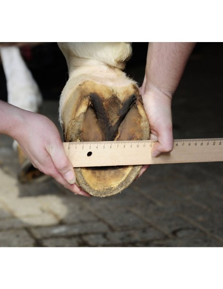 Chaussure de dépannage - HKM