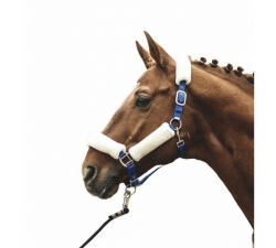 Licol -North Pole- avec doublure Teddy synthétique - HKM