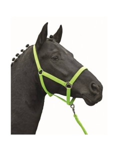 Licol -Stars Economy Softice- HKM Vert Fluo