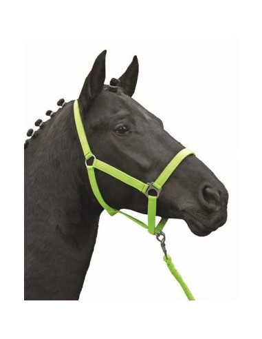 Licol -Stars Economy Softice- HKM Vert Fluo