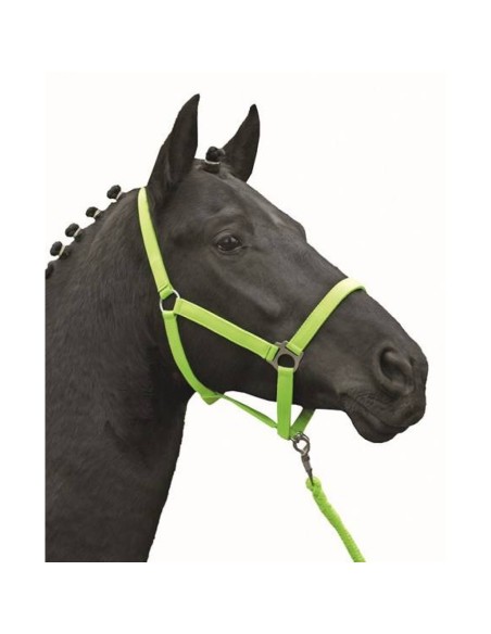 Licol -Stars Economy Softice- HKM Vert Fluo