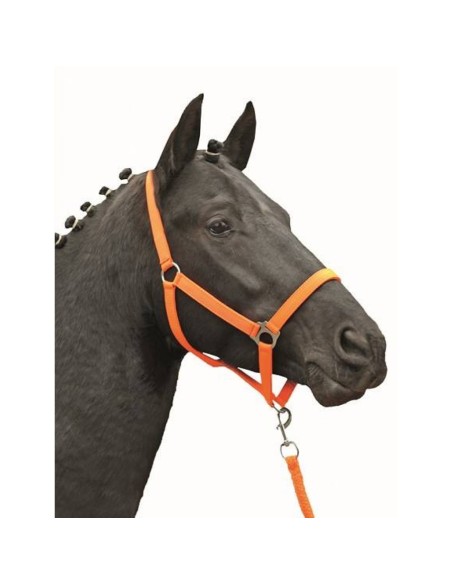 Licol -Stars Economy Softice- HKM Orange fluo