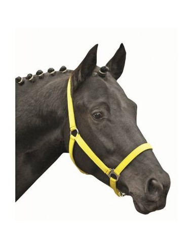 Licol -Stars Economy Softice- HKM Vert Fluo