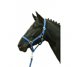 Licol -Stars Economy Softice- HKM Bleu roi