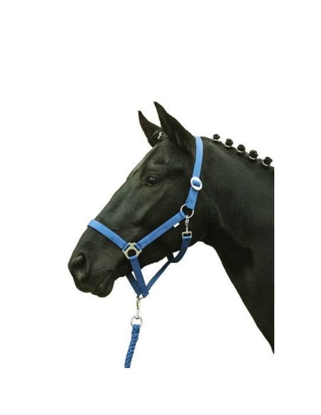 Licol -Stars Economy Softice- HKM Bleu roi