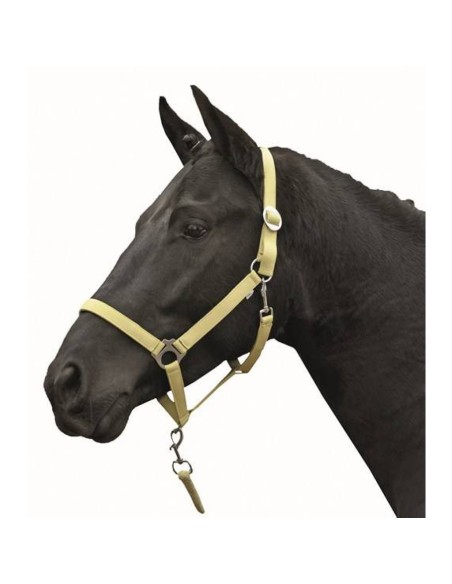 Licol -Stars Economy Softice- HKM Jaune pastel