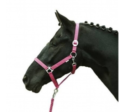 Licol -Stars Economy Softice- HKM Rose