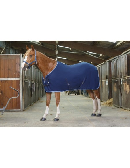 Chemise polaire Equithème Combo 230g