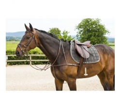 Bricole + martingale NORTON