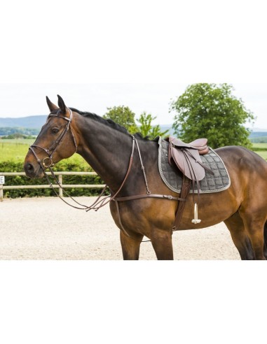 Bricole + martingale NORTON