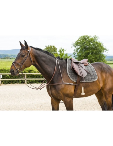 Bricole + martingale NORTON
