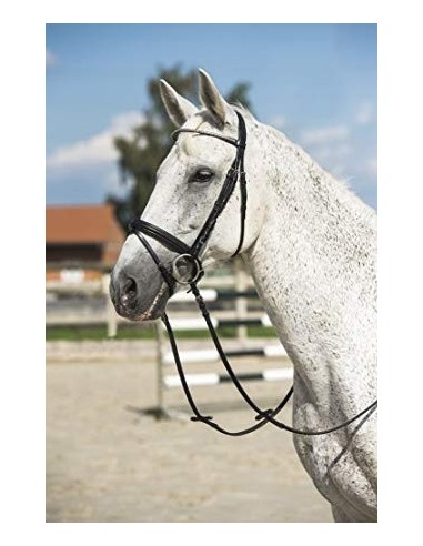 Bridon Excelsior "Chocolat"