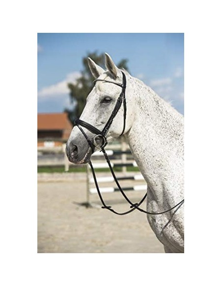 Bridon Riding World Clincher fin, muserolle combinée