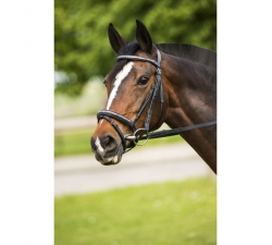 Bridon Excelsior "Chocolat"