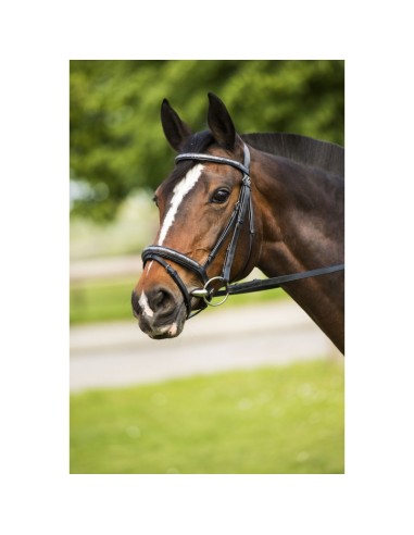 Bridon Riding World Paillettes, muserolle combinée