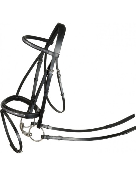 Bridon Riding World Paillettes, muserolle combinée