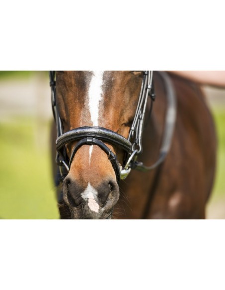 Bridon Riding World Paillettes, muserolle combinée