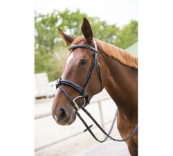 Bridon NORTON LUXE "Softy" large, muserolle combinée