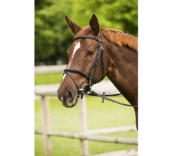 Bridon C.S.O. "Verni", muserolle combinée