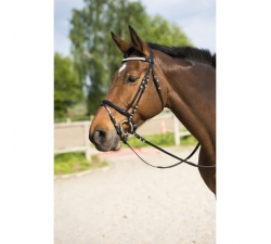 Bridon RIDING WORLD "Diamond", muserolle combinée