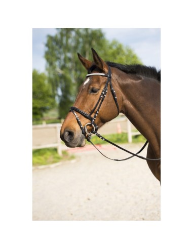 Bridon RIDING WORLD "Diamond", muserolle combinée