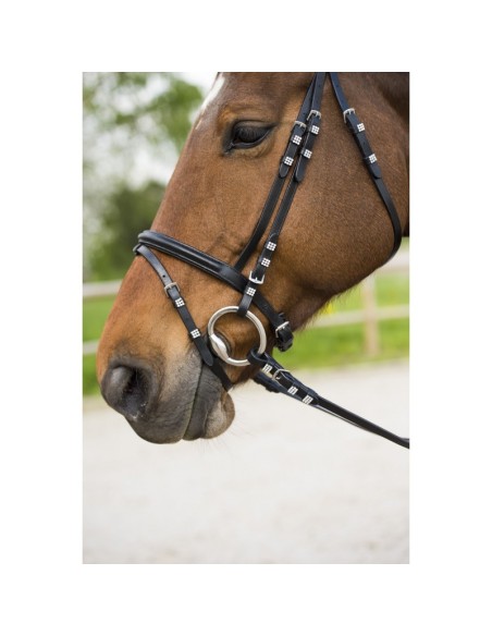 Bridon RIDING WORLD "Diamond", muserolle combinée