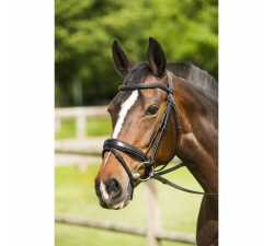 Bridon RIDING WORLD "Epone", muserolle combinée