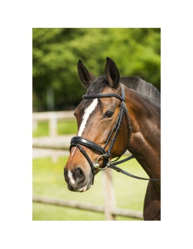Bridon RIDING WORLD "Epone", muserolle combinée