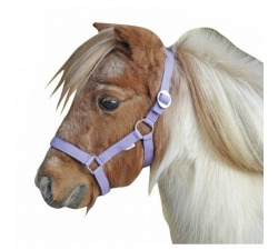 Licol Minishetty HKM Lilas