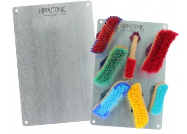 Plaque Hippotonic Magnet brush