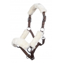 Licol Vororder par HKM