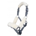 Licol Vororder par HKM