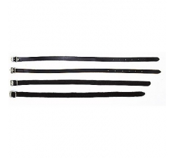 Sporenriemen Riding World