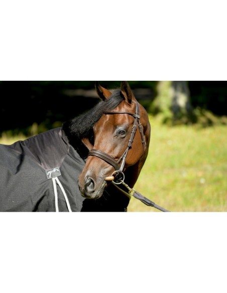Chemise de box 200g  PENELOPE LEPREVOST