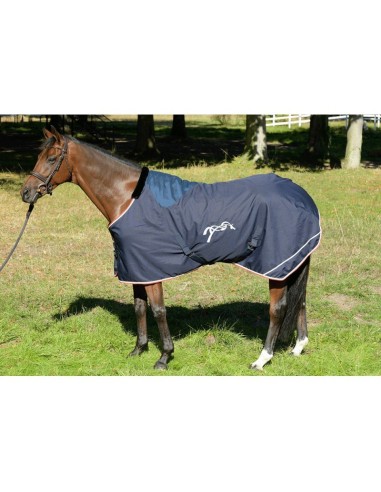 Chemise de box 400g  PENELOPE LEPREVOST